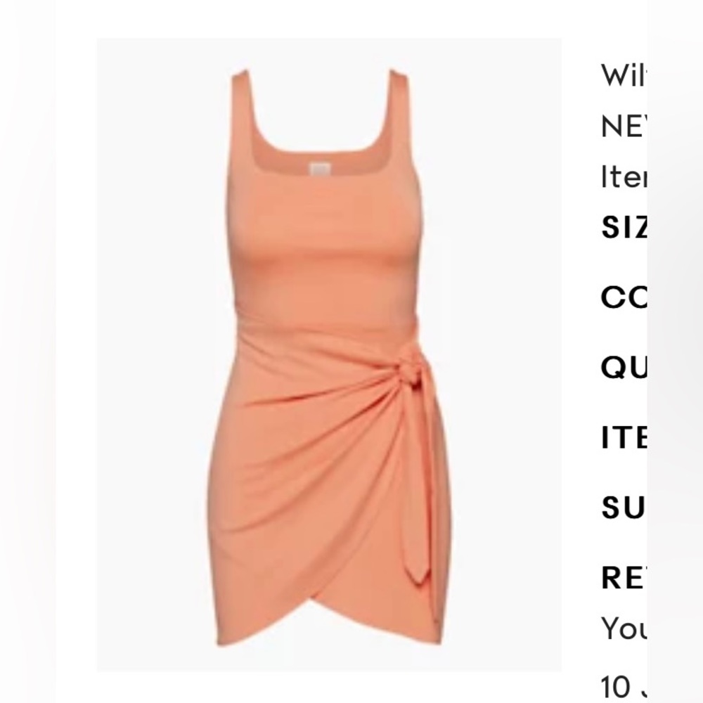 Aritzia Saturn Mini Dress!